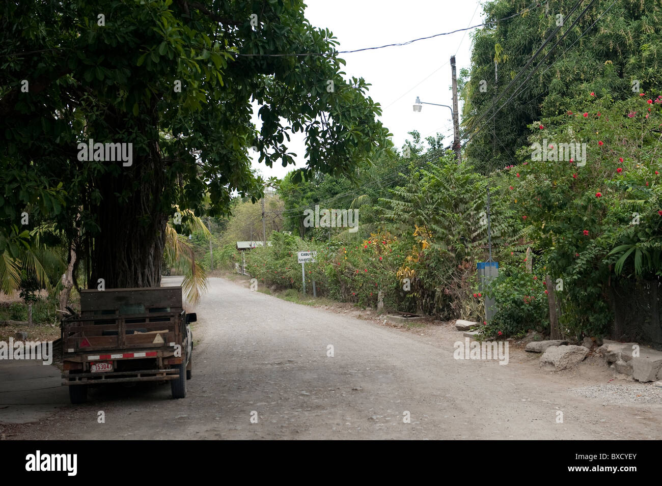Treed rural road in the tropical forest of Costa Rica with a parked green pickup truck Stock Photo