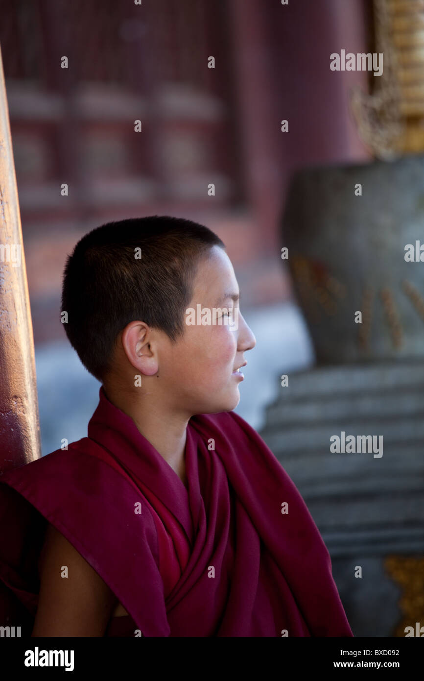 young monk in monastery Amarbayasgalant Khiid in North Mongolia Stock Photo