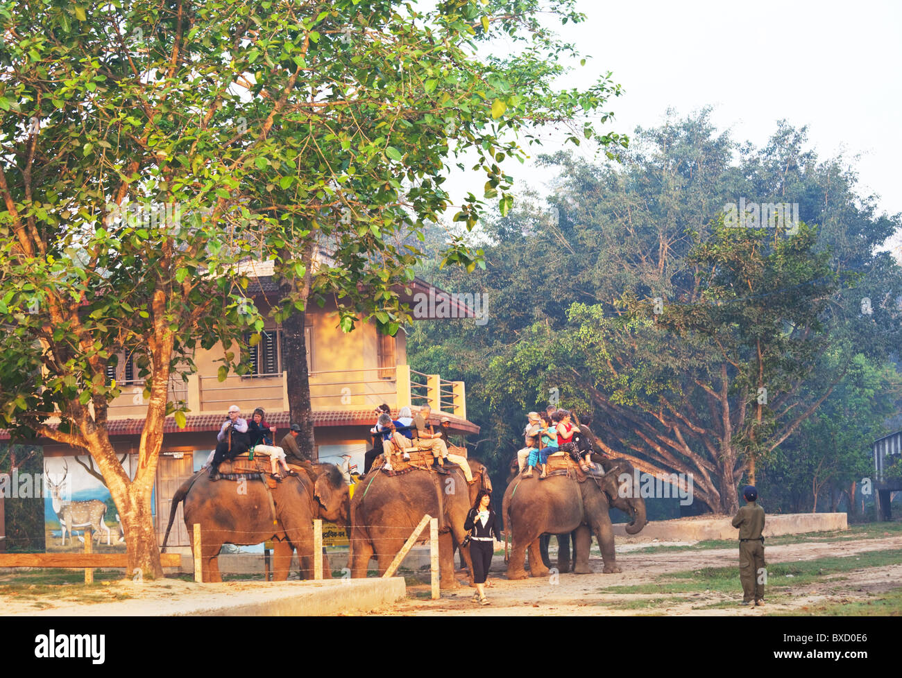 Tourists riding on an elephants, safari in national park Chitwan, Nepal ...