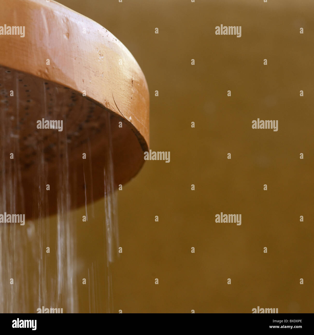 Shower head in Costa Rica Stock Photo Alamy