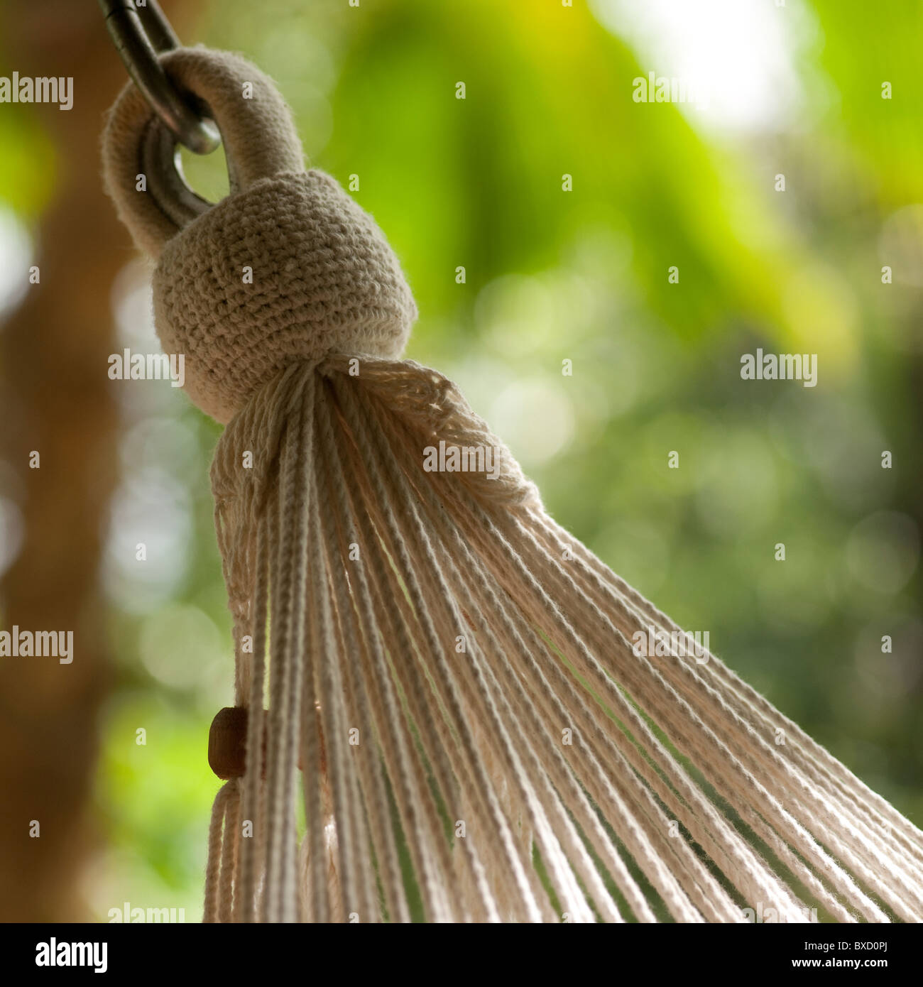 End cords of a hanging hammock in Costa Rica Stock Photo