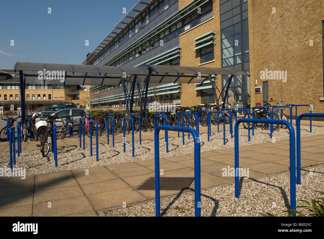 Cycle racks at Anglia Ruskin University Chelmsford Essex UK Stock Photo