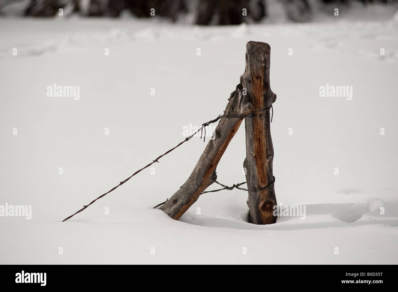 Fence posts in the snow Vail, Colorado Stock Photo