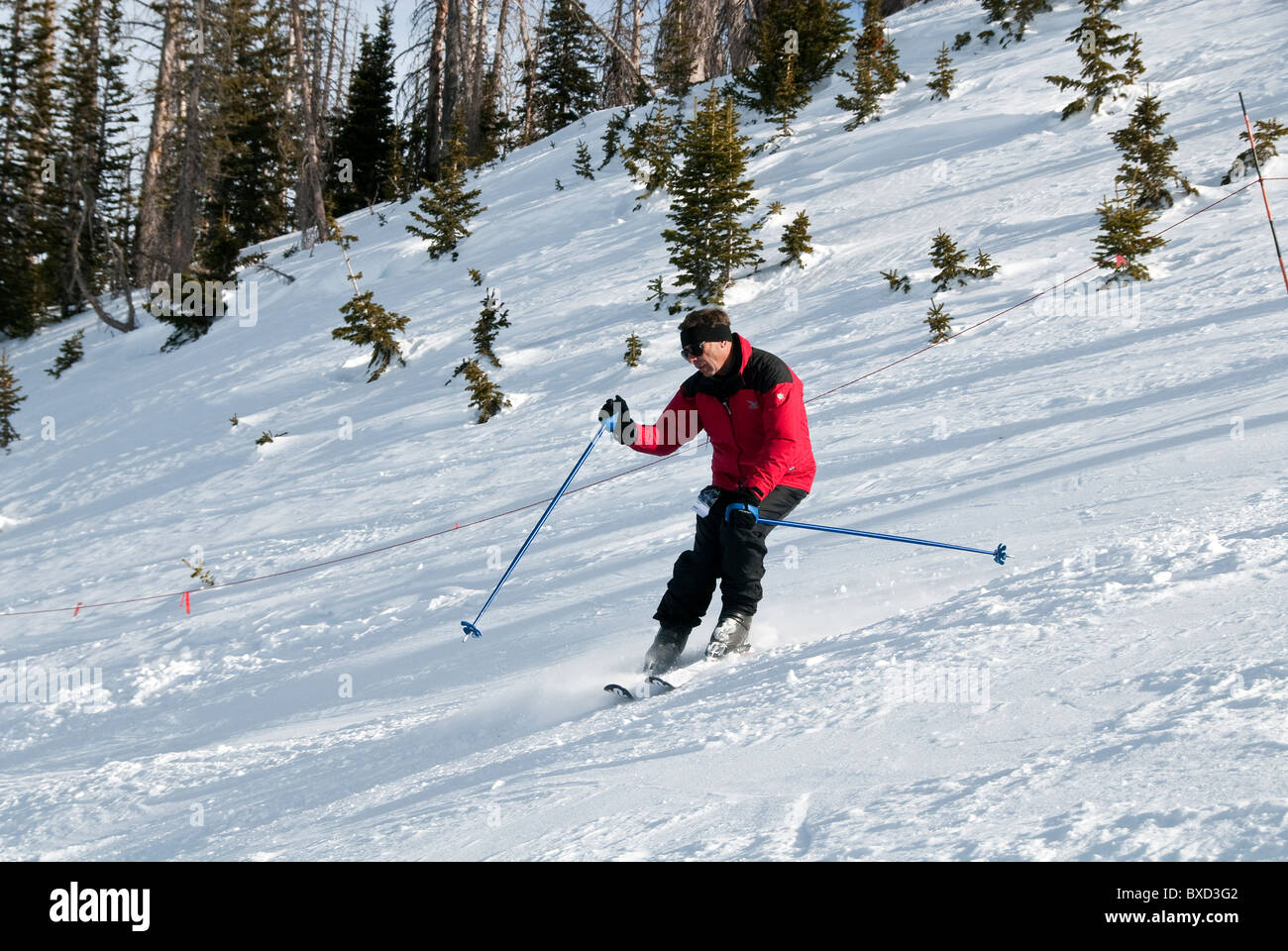 Mike Vining skiing Wild Ride Run Brian Head Ski Resort Utah USA Stock Photo