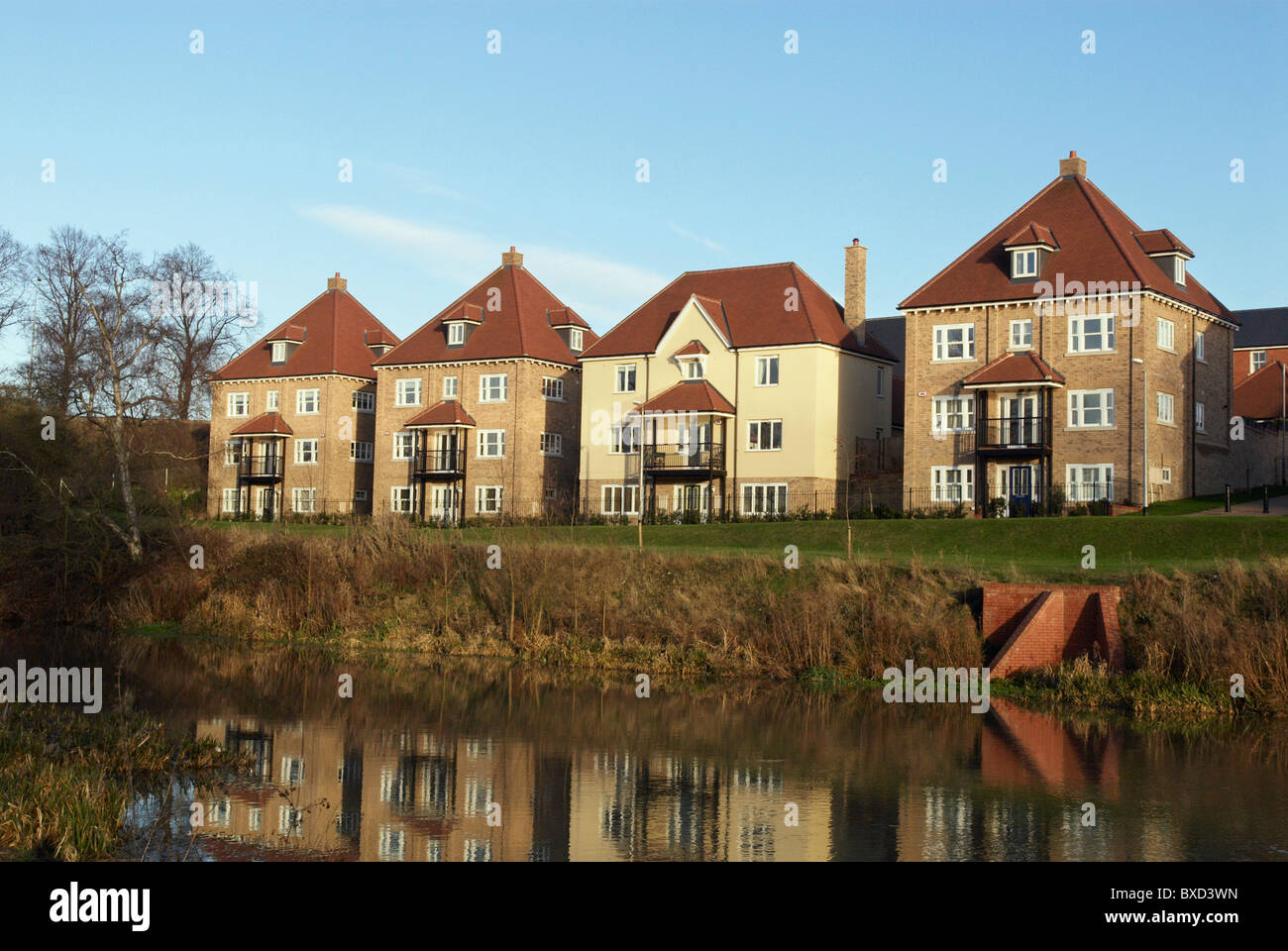 Modern homes development Colchester UK Stock Photo Alamy