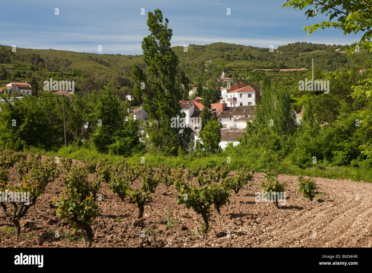 Pontons, Alt Penedès, Barcelona, Spain Stock Photo Alamy