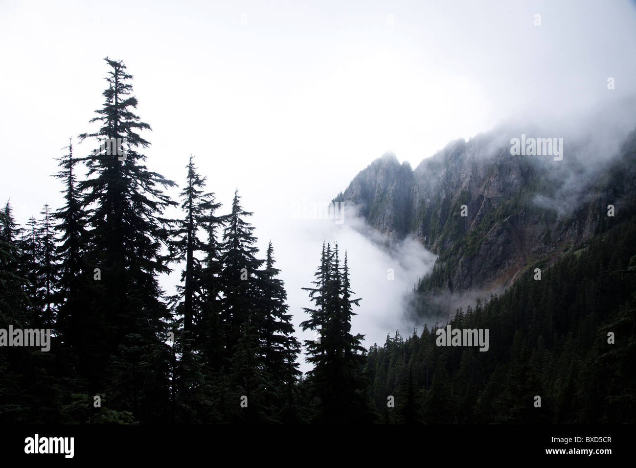A landscape image of a foggy mountain scene. Stock Photo