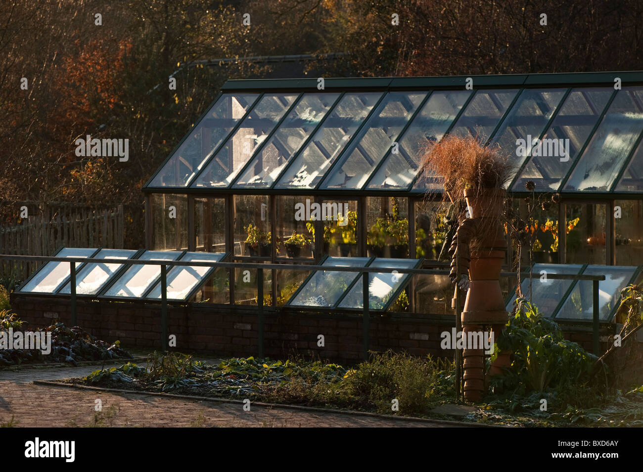 Green House And Coldframes In The Fruit And Vegetable Garden - 