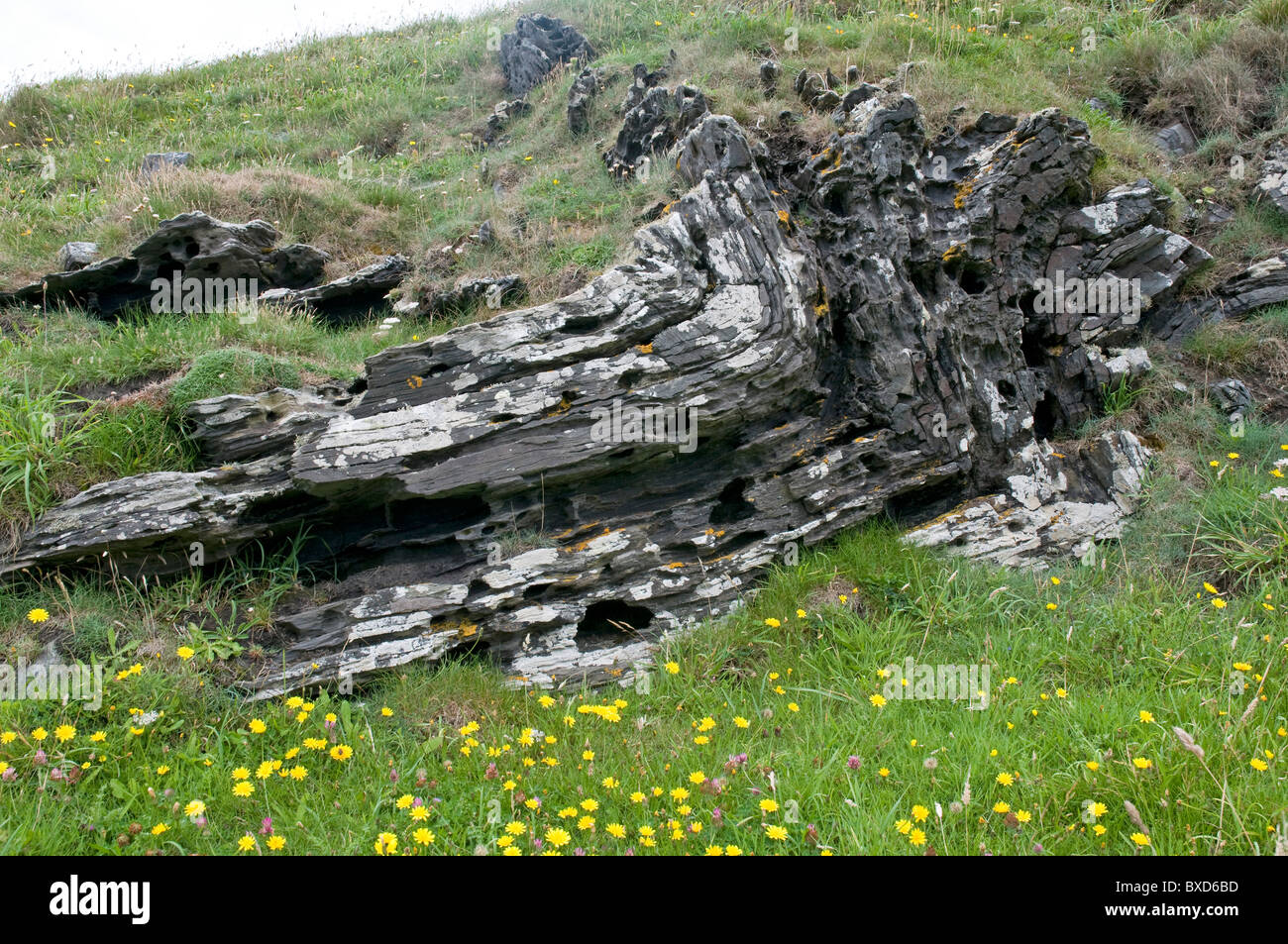 Contorted Fire Contorted rock strata on the north Cornish coastline close to Fire ...