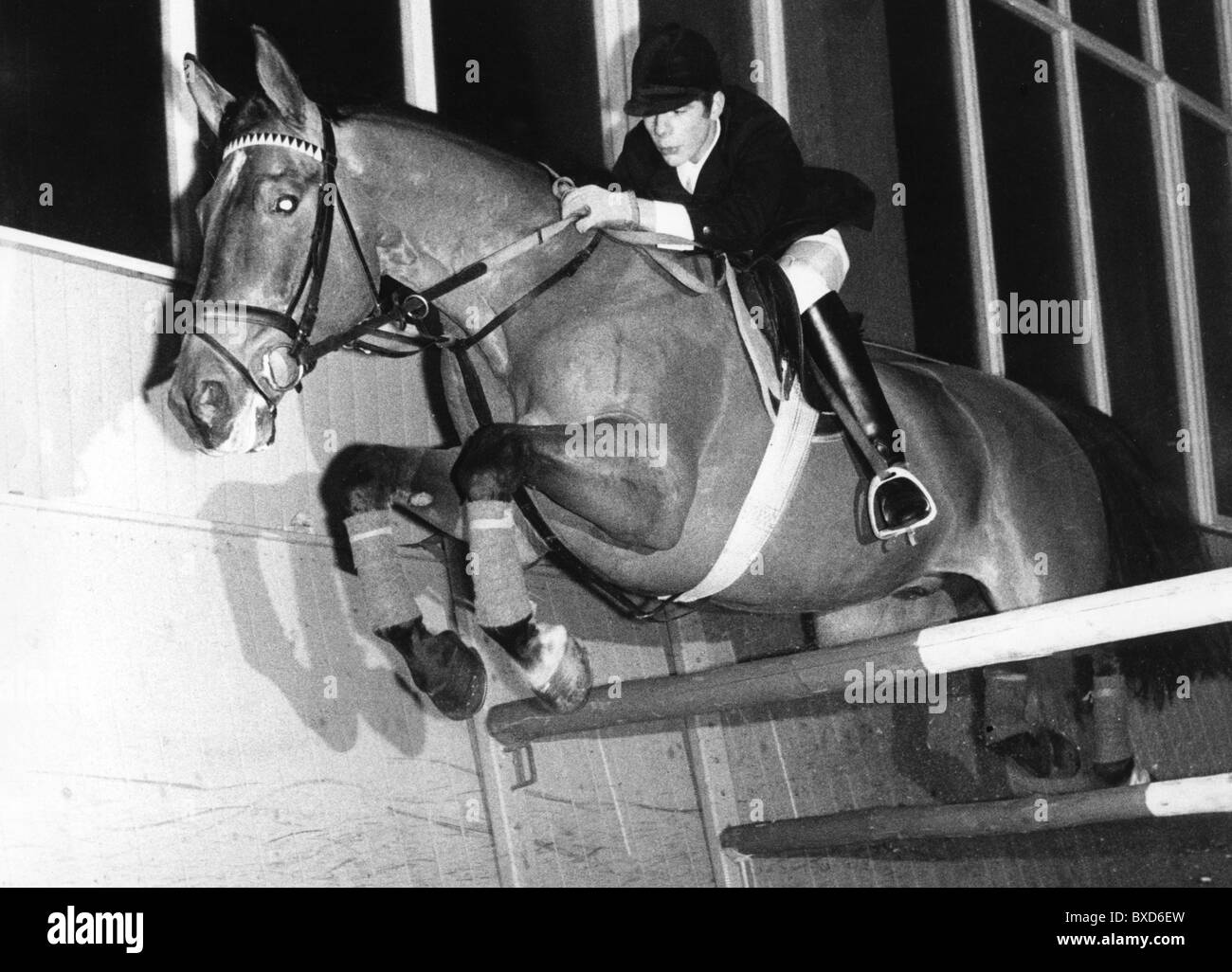 Heintje, * 12.8.1955, Dutch singer and actor, full length, sitting on horse, 1972, Stock Photo