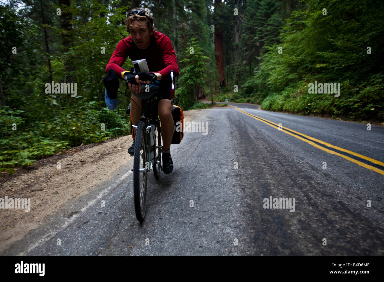 A Male Cyclist Climbs His Way Up The Generals Highway While Riding 