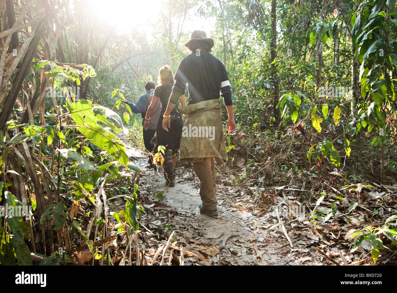 A man and woman walk through the amazon rainforest during the mid morning. Stock Photo
