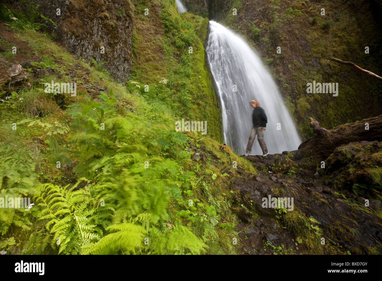 Multnomah Falls area, Columbia River Gorge, Oregon Stock Photo