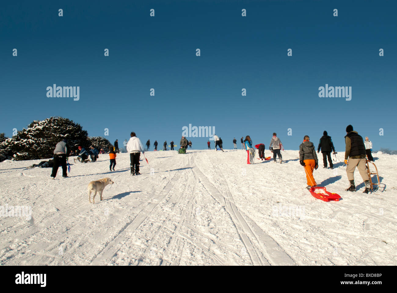 people sledging in the snow Stock Photo