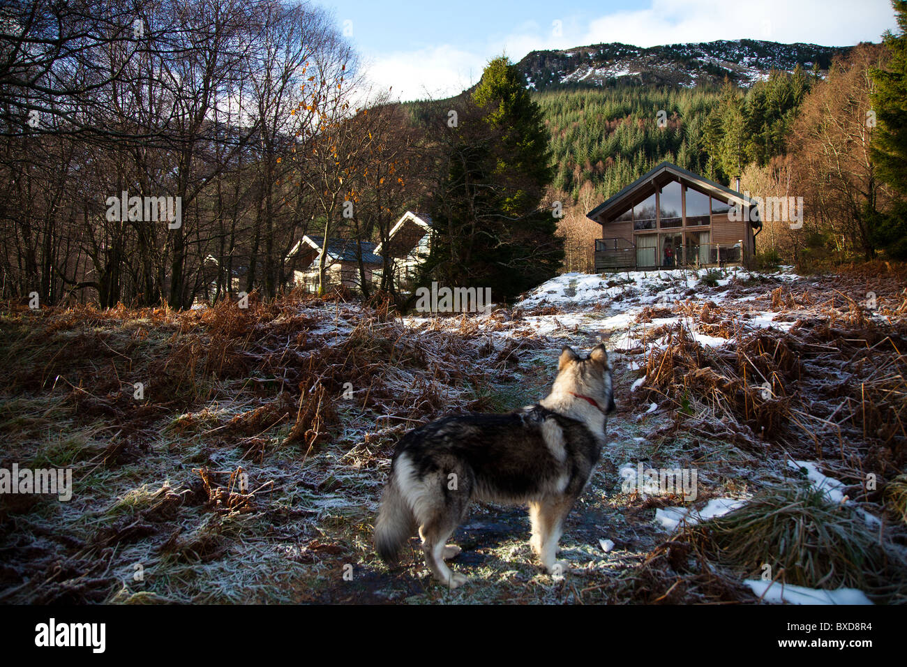 The Cabin At Loch Lubnaig Stock Photos The Cabin At Loch Lubnaig