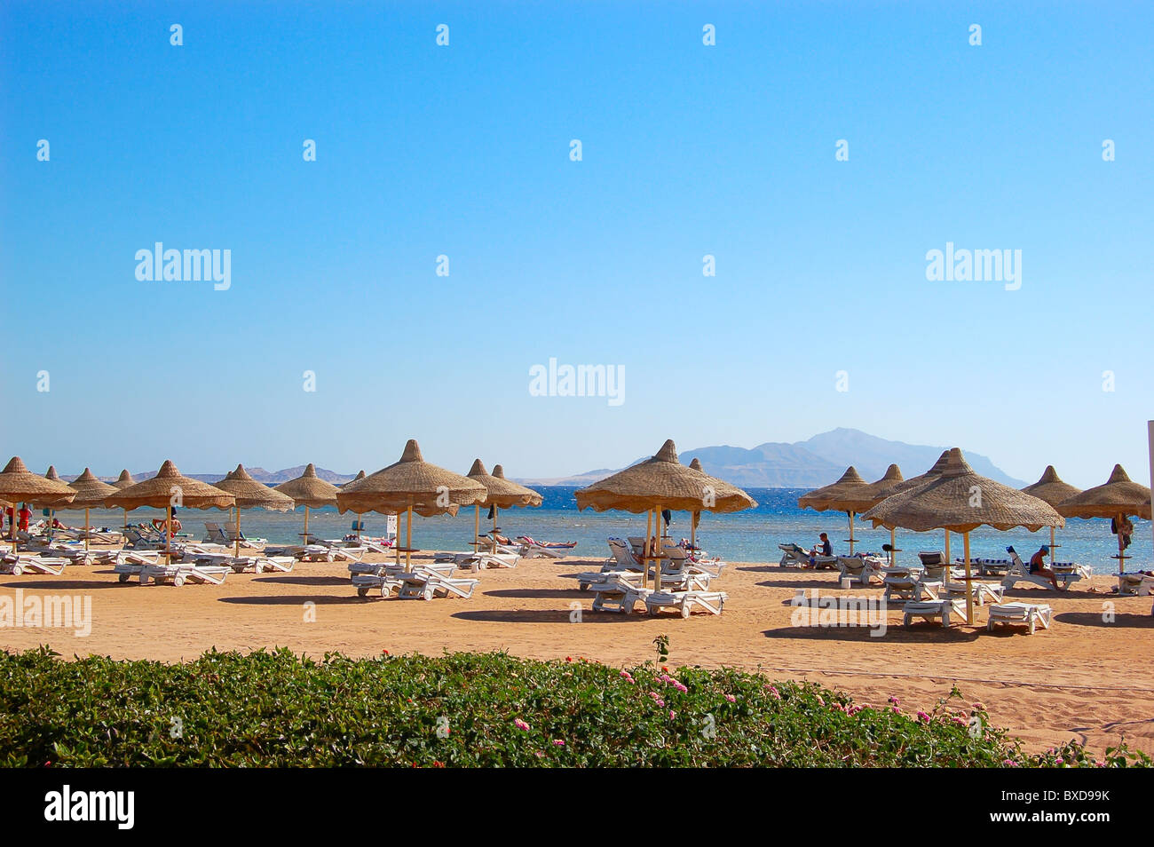 Beach of the luxury hotel, Sharm el Sheikh, Egypt Stock Photo