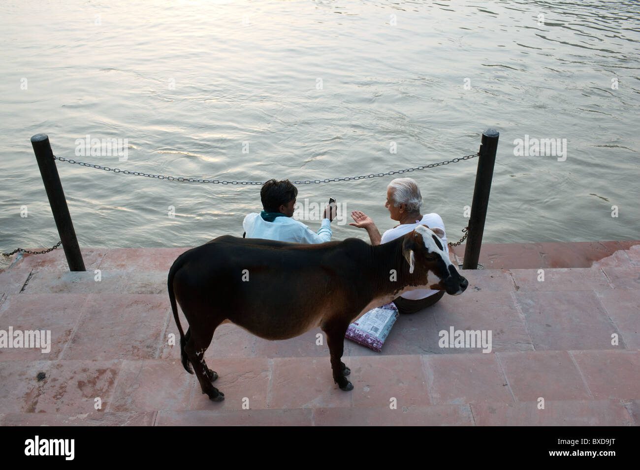 A cow and two men sitting in a ghat of Ganges river in Rishikesh, Uttarakhand, India. Stock Photo