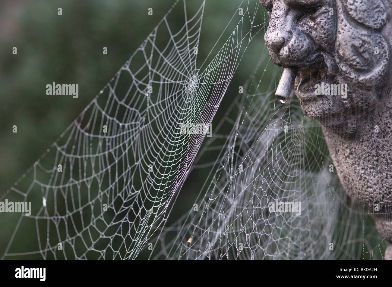 spiders web on garden water fountain Stock Photo