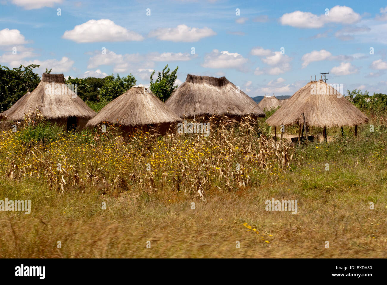 A Zambian village consisting of mud and thatch huts. Stock Photo