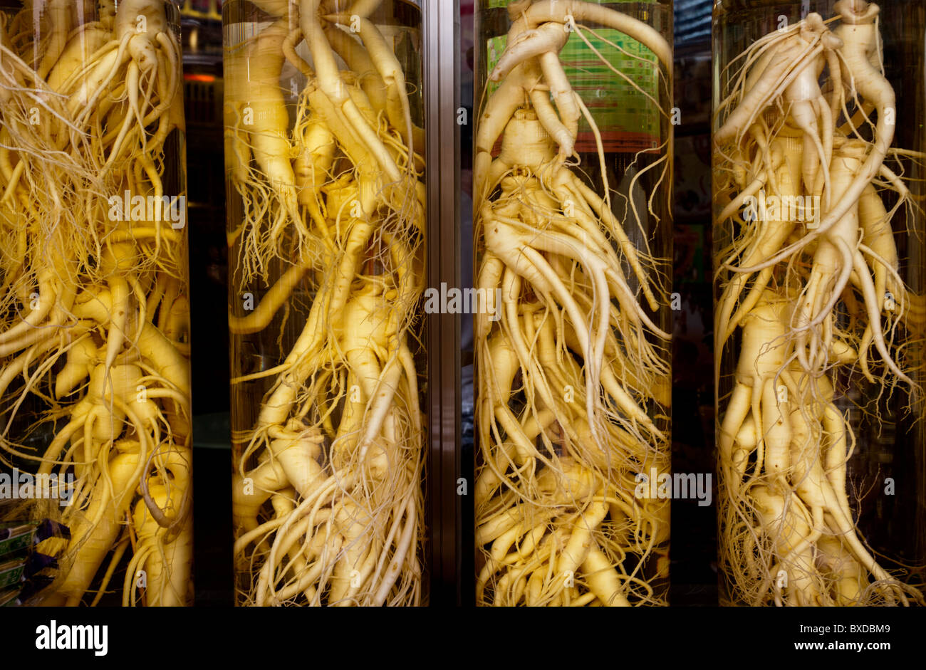 Ginseng bottles hires stock photography and images Alamy