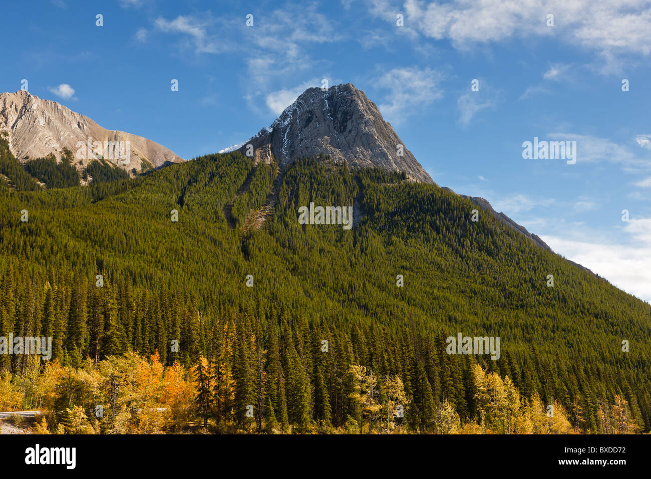 Mountain peak view from Maligne Lake Road, Jasper National Park, Alberta, Canada Stock Photo