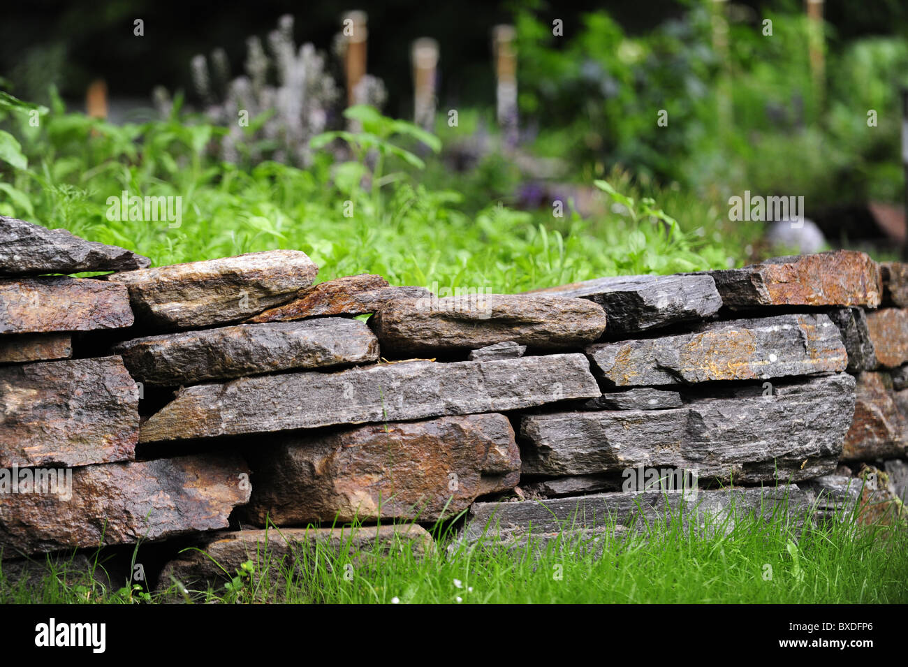 nature garden with stone wall Stock Photo Alamy