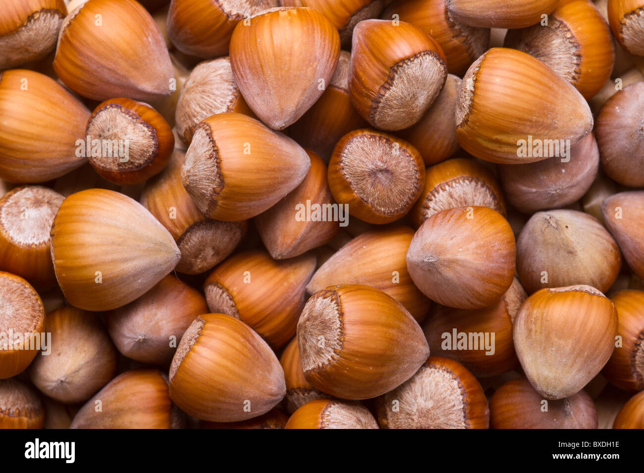 Hazelnut background - top view of fresh hazelnuts Stock Photo