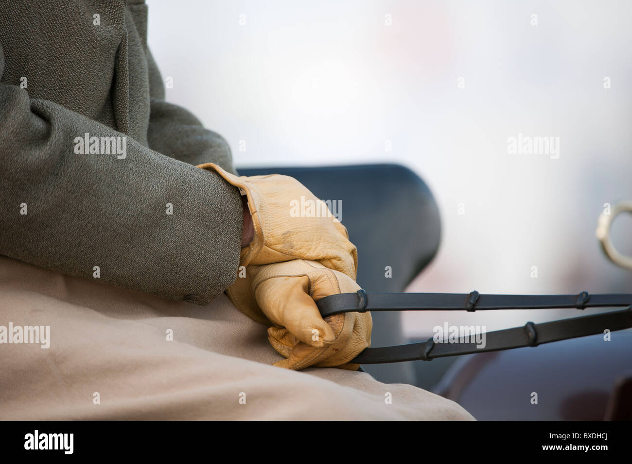 Seated and in control , horse and trap. Stock Photo