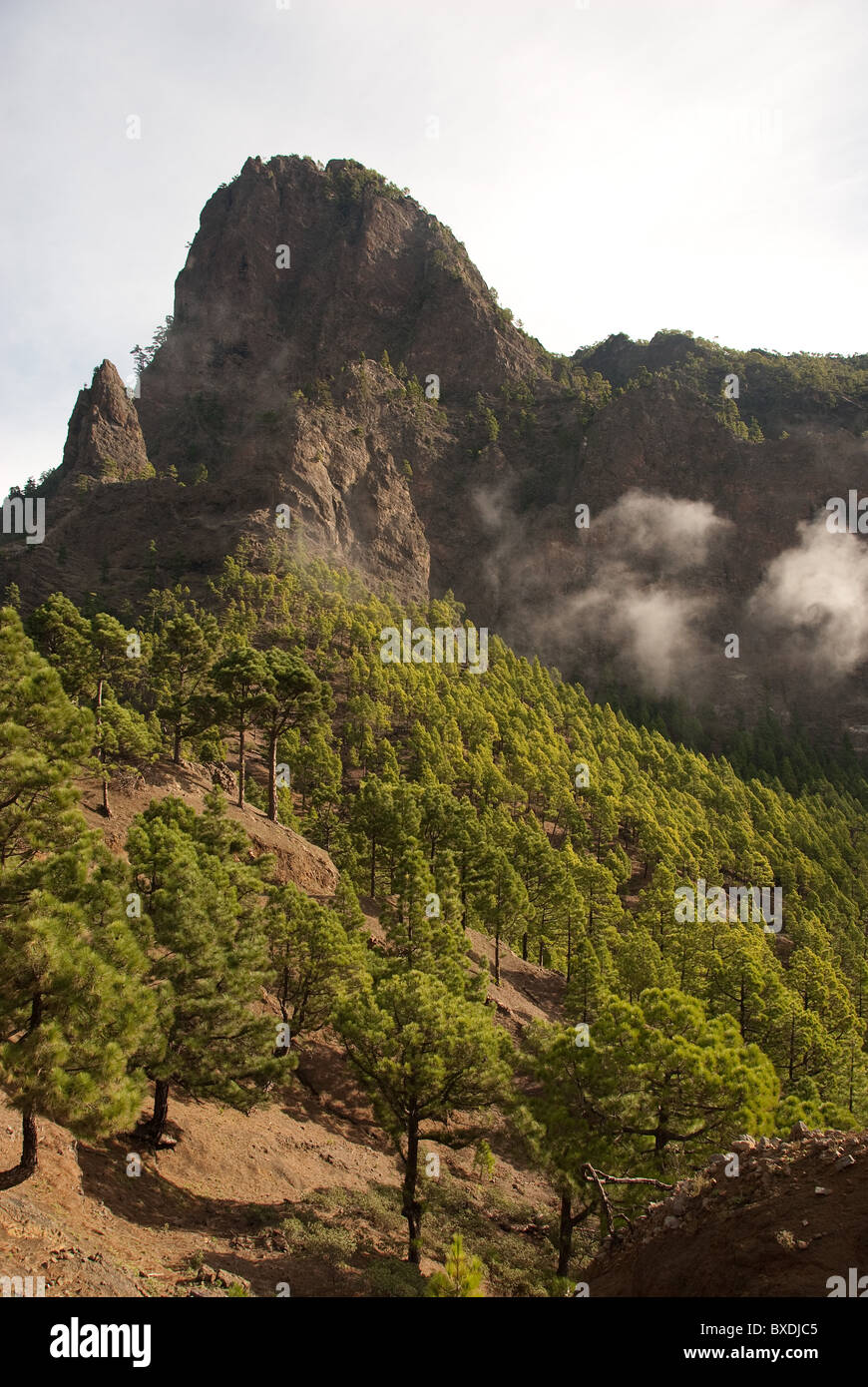 The National Park of La Caldera de Taburiente, La Palma Stock Photo - Alamy