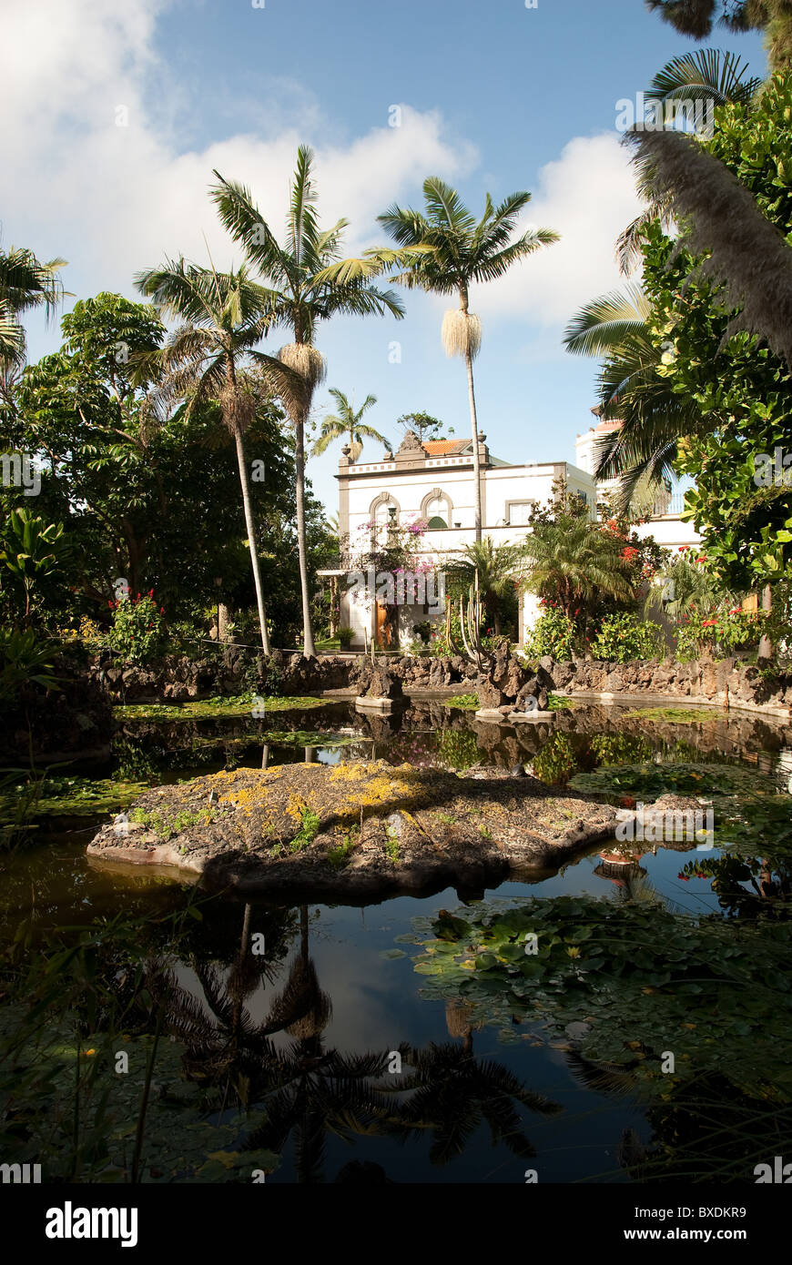 55+ Arucas Gran Canaria Botanical Gartner, Il y a des espèces