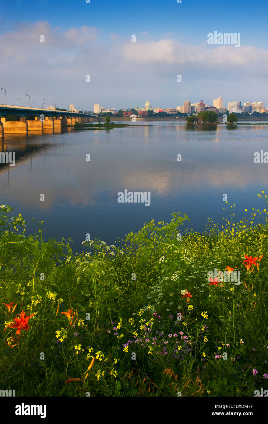 Wildflowers in front of Susquehanna River Stock Photo