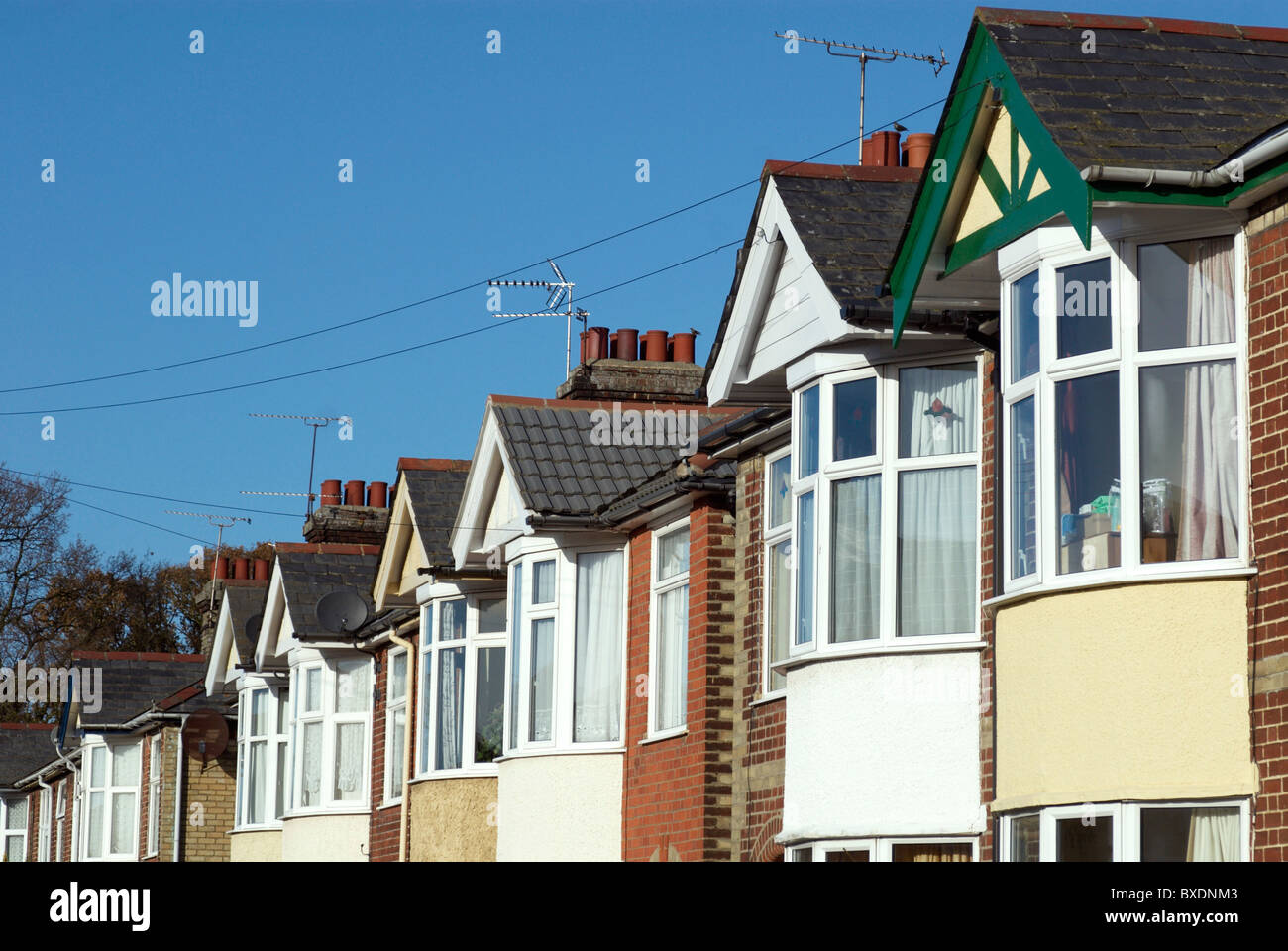 1930's housing Ipswich UK Stock Photo Alamy