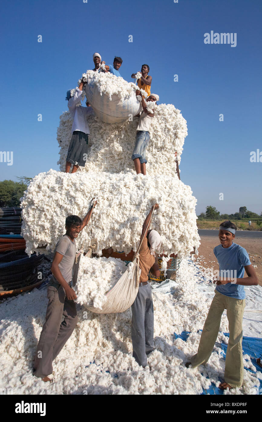 Cotton Truck High Resolution Stock Photography and Images Alamy