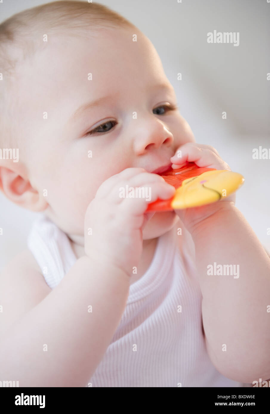 Baby sucking on teething toy Stock Photo