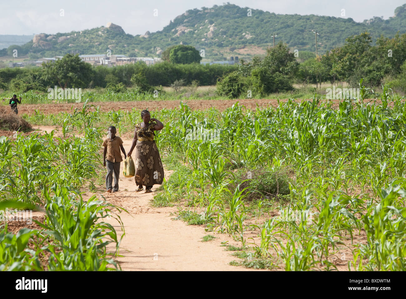 Chadulu village, Dodoma, Tanzania, East Africa. Stock Photo