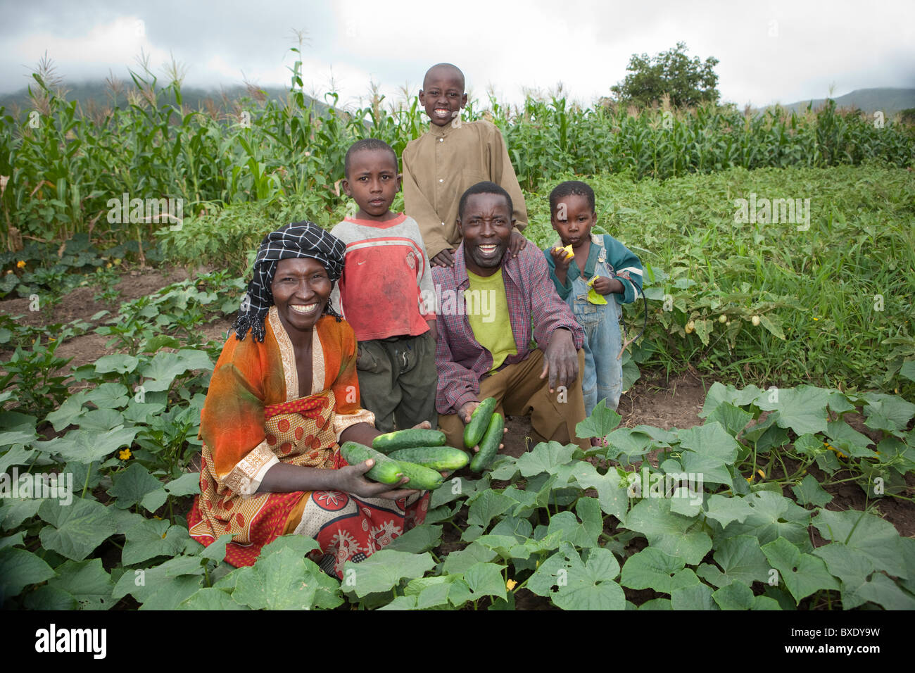 A family in their vegetable field in Iringa, Tanzania, East Africa. Stock Photo