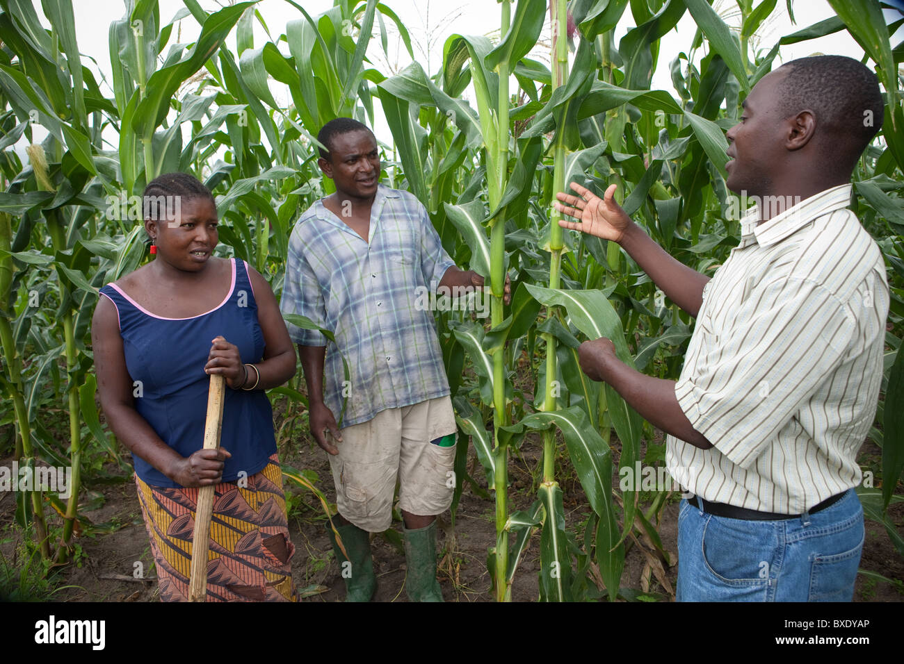 An agricultural extension worker visits a couple on their farm in Iringa, Tanzania, East Africa. Stock Photo