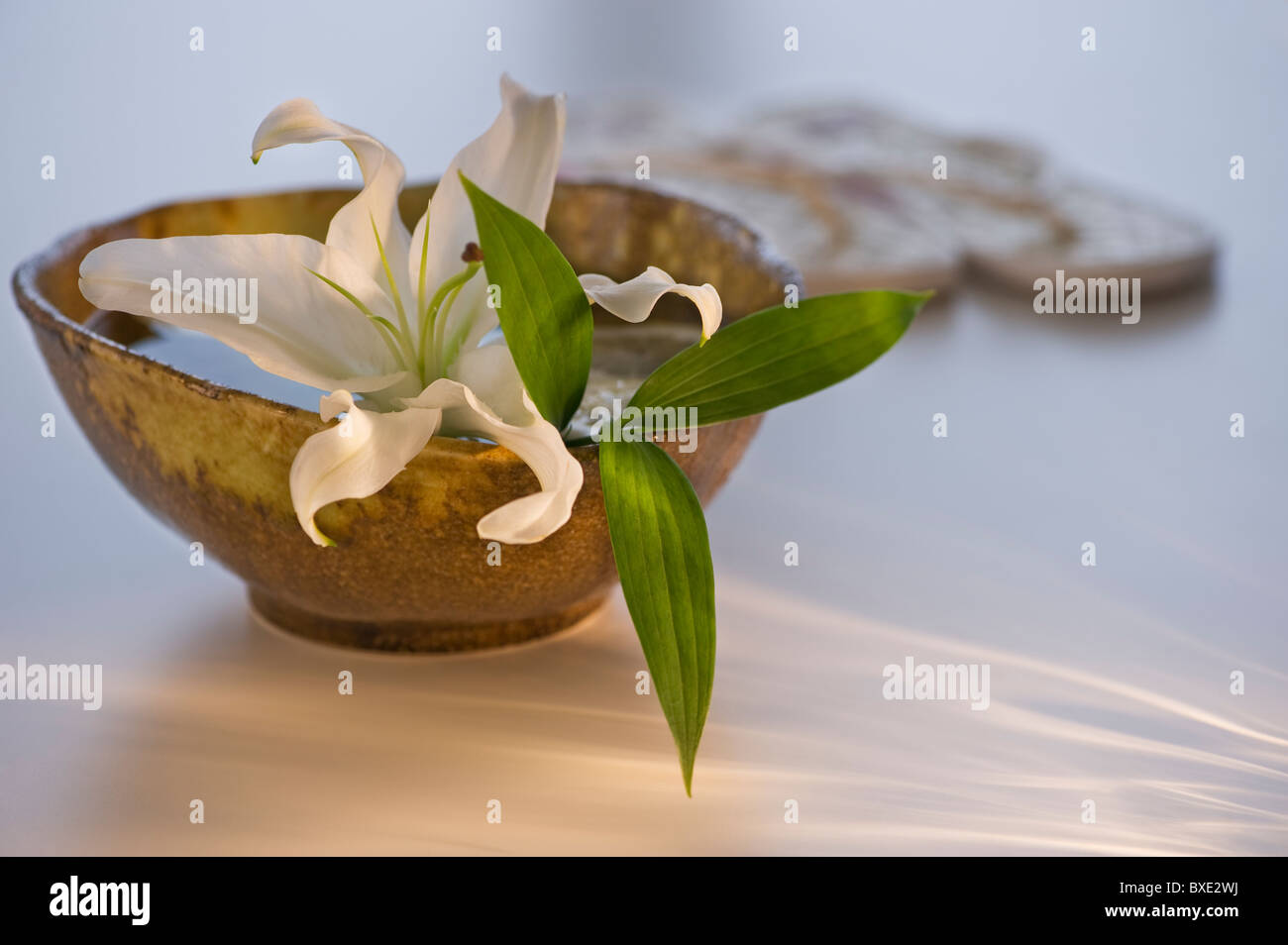 Lily in bowl of water Stock Photo Alamy