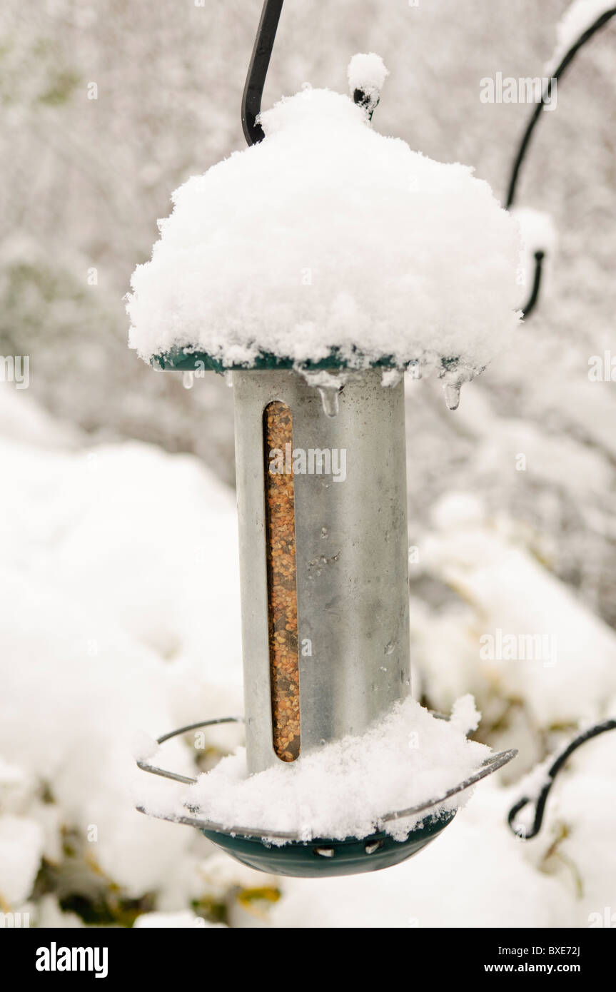 Snow covered bird seed feeder Stock Photo