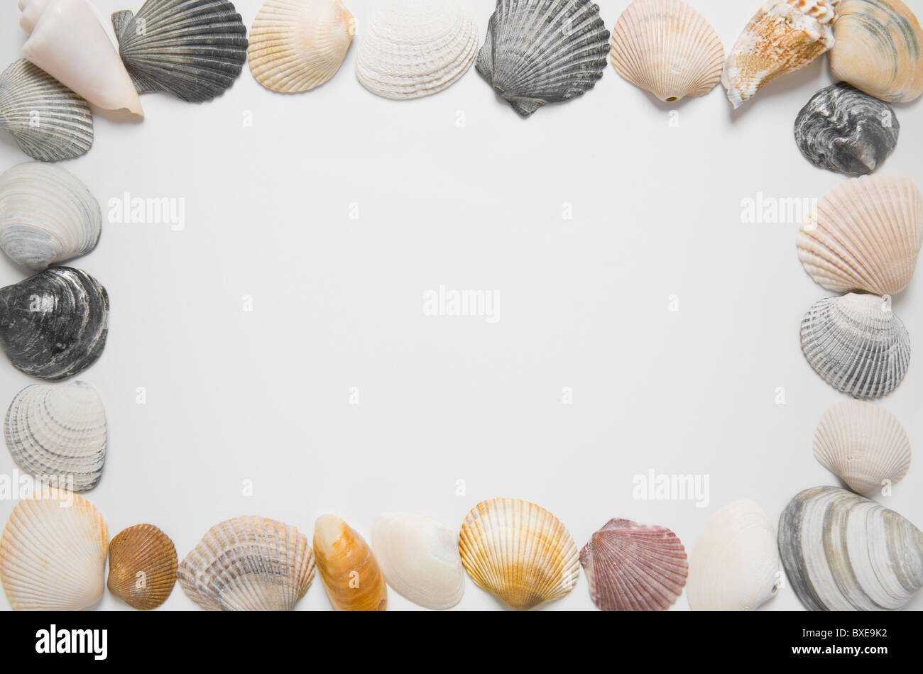 Seashells in shape of picture frame Stock Photo