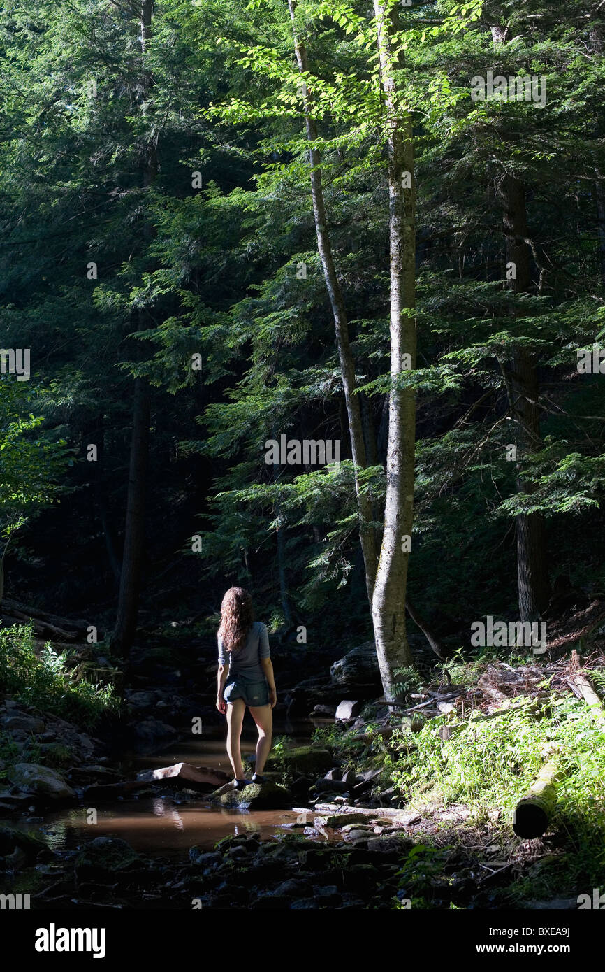 Back view woman hiker hikes hi-res stock photography and images - Alamy