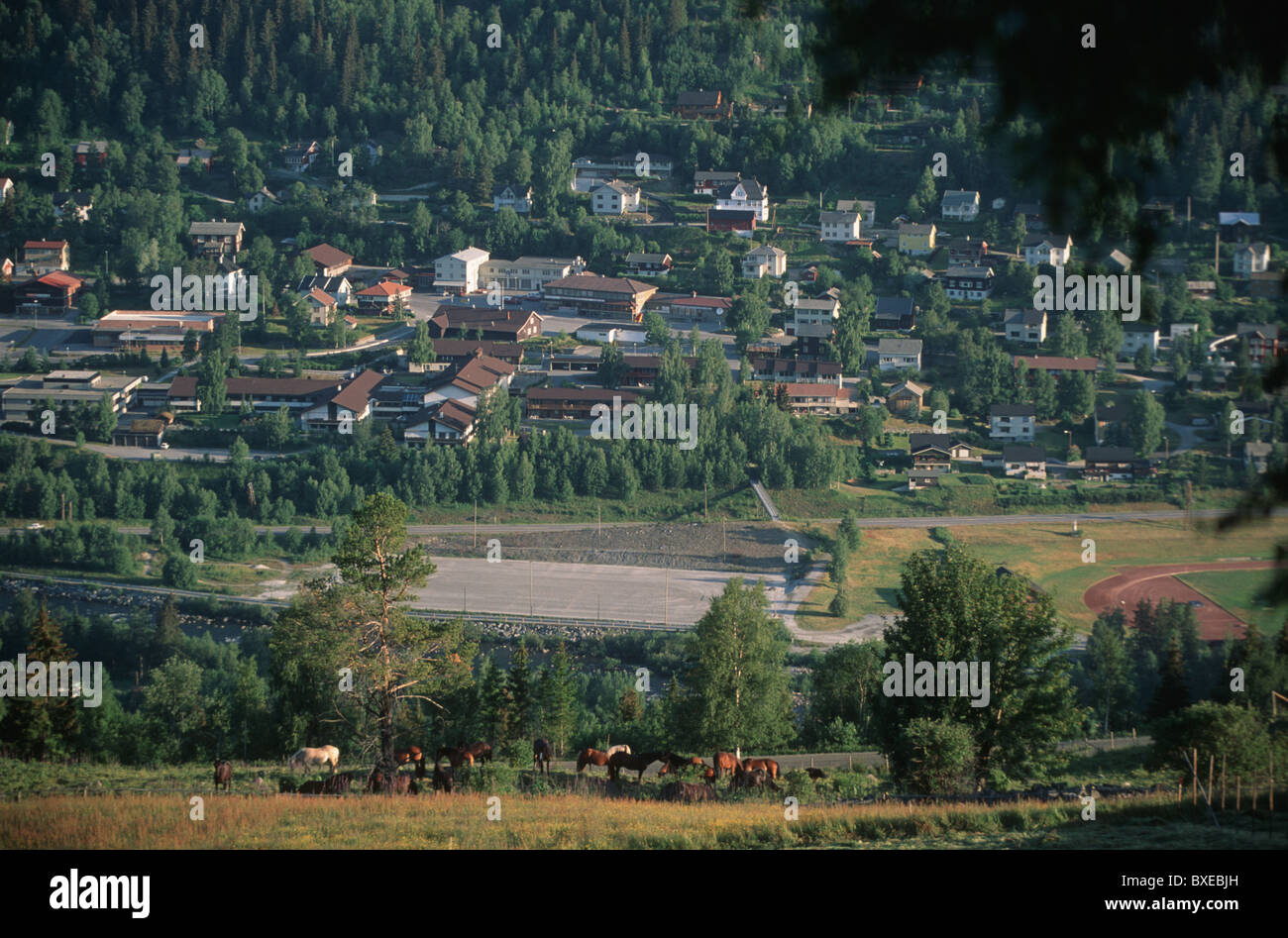 Al I Hallingdal Buskerud Norway Stock Photo Alamy