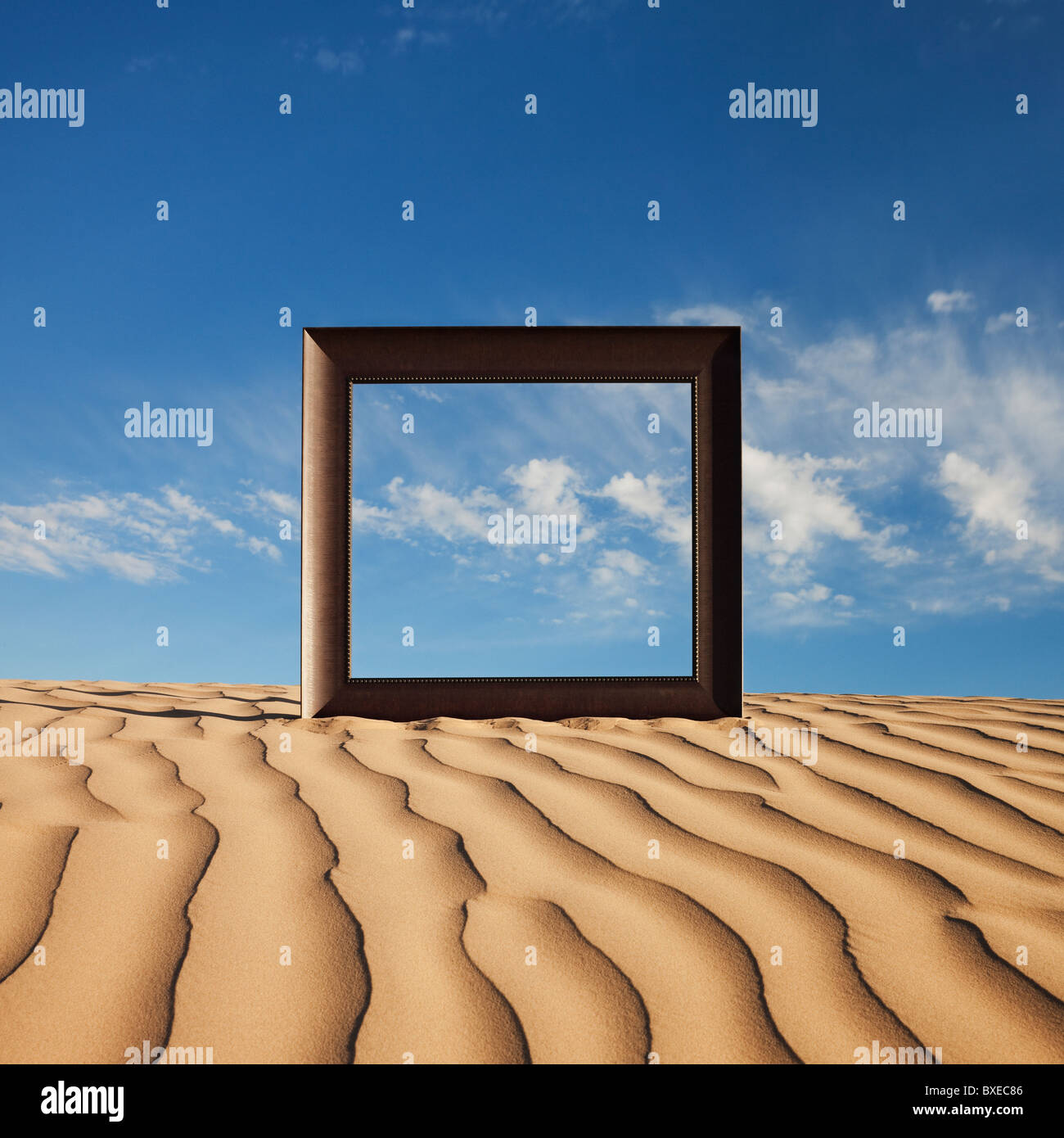 Picture frame on desert sand Stock Photo Alamy