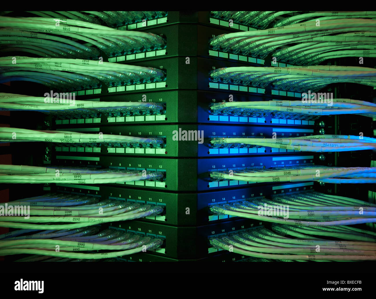 Network cables Stock Photo