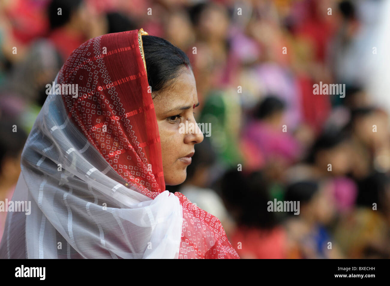 Women celebrating Ganguar in Rajasthan. Stock Photo