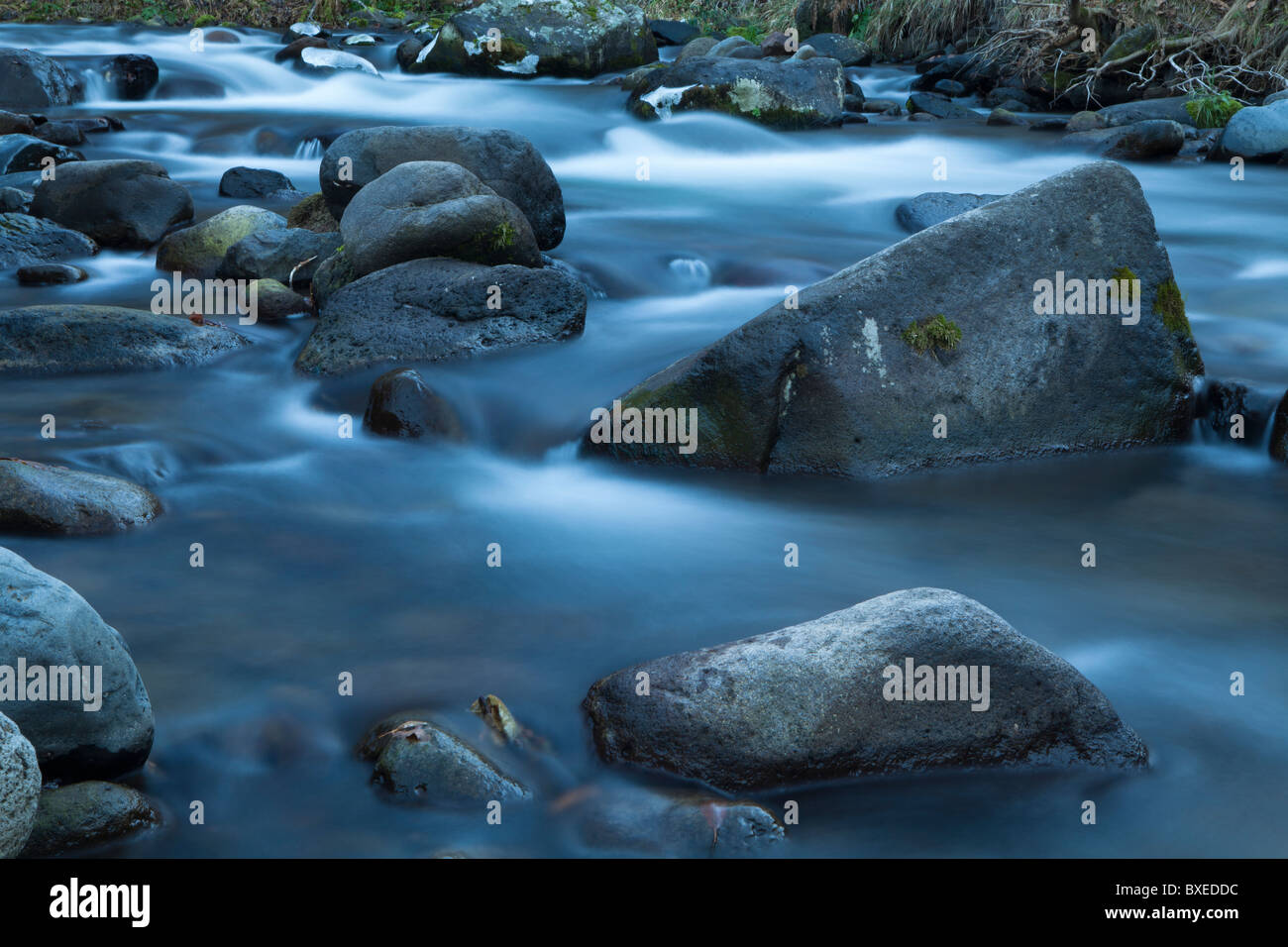 river stream in mountain river Stock Photo