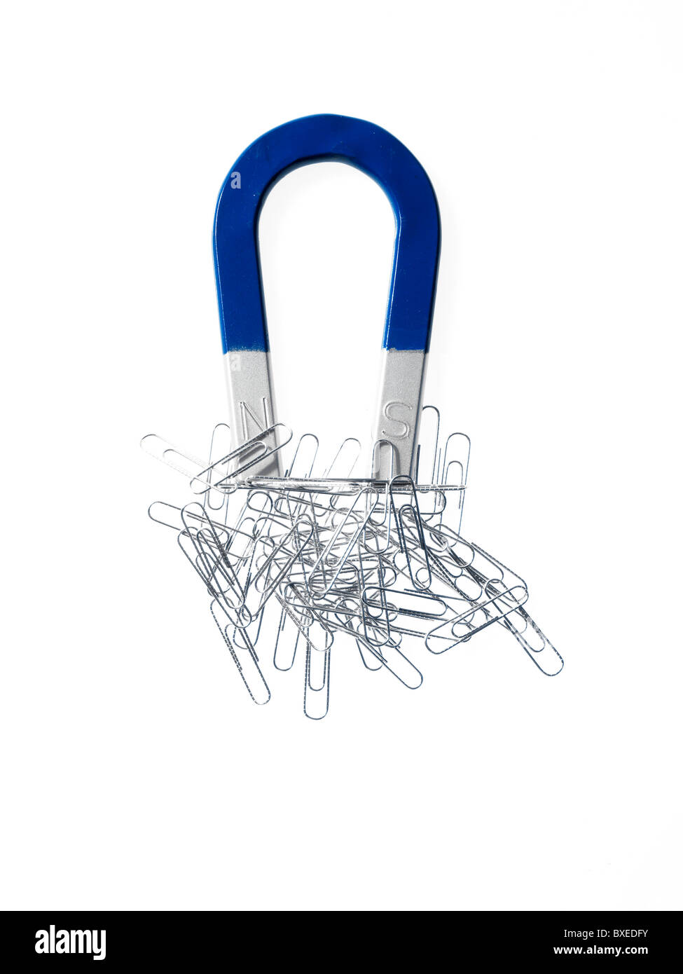 Magnet with Paper Clips. Office Supplies Top View Stock Photo - Image of  iron, paperclip: 221386484