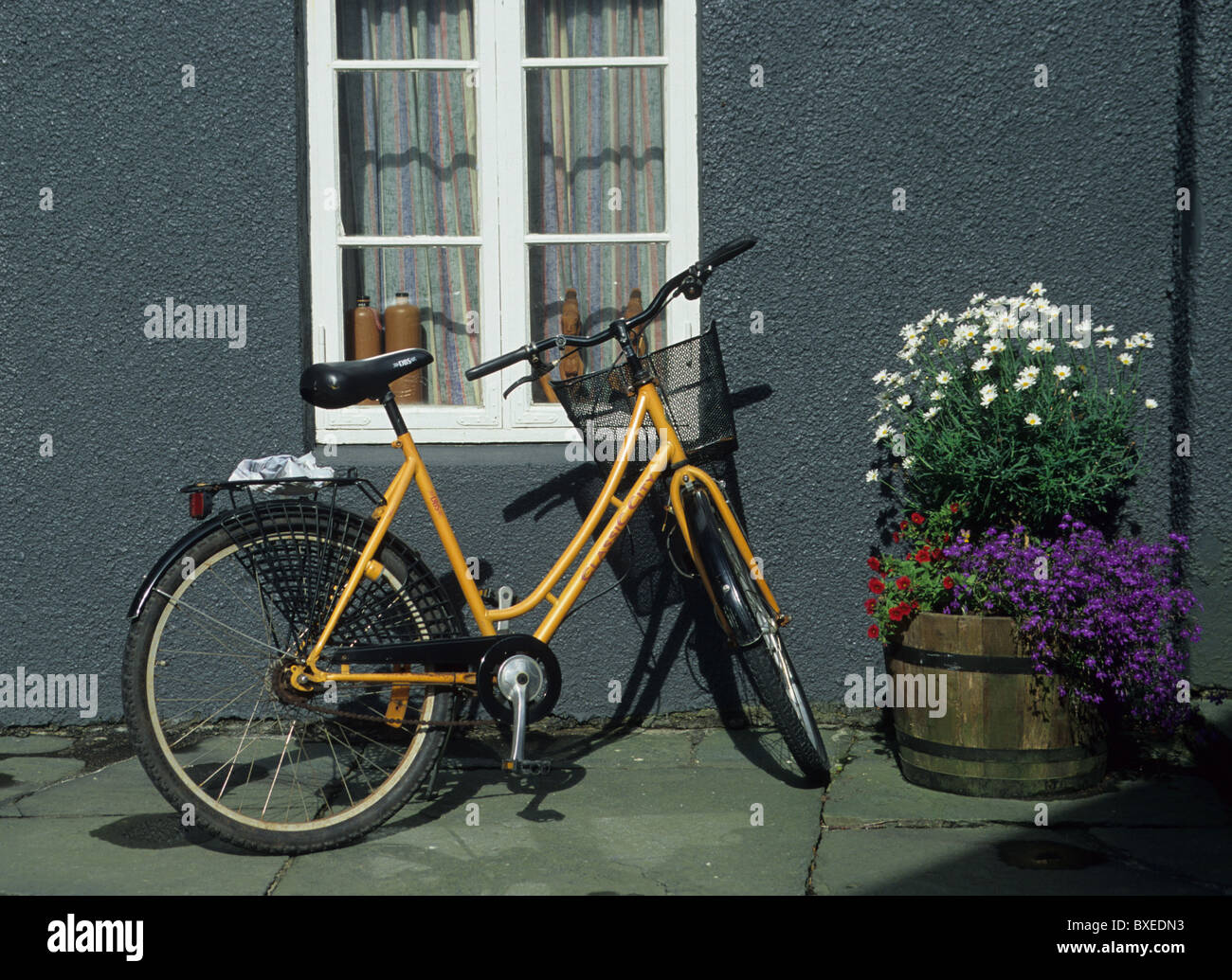 Parked yellow bike, gray wall, flowers in a barrel, sun, summer Stock Photo