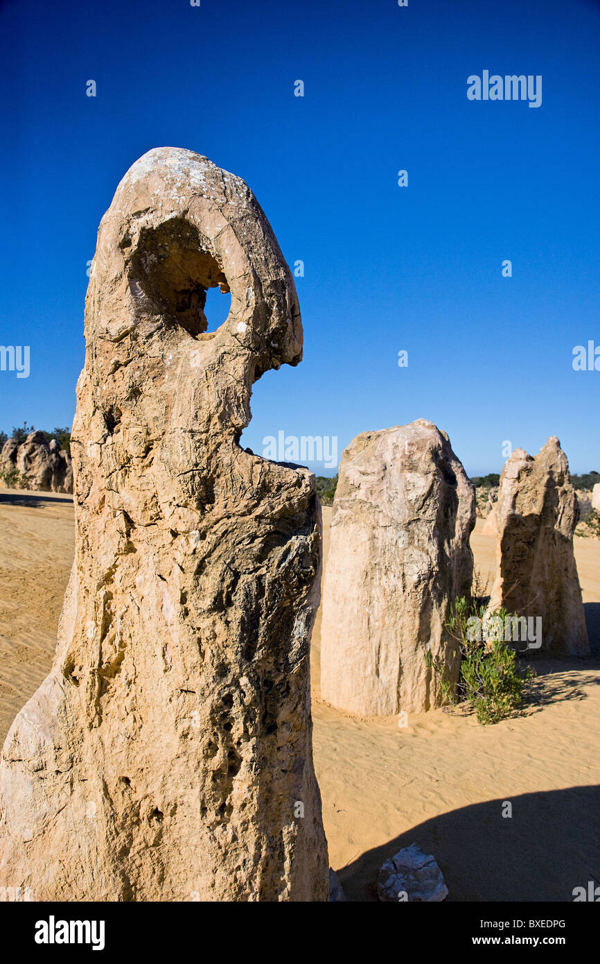 Anthropomorphically weather-sculpted standing stone at the Pinnacles desert near Cervantes in Western Australia Stock Photo