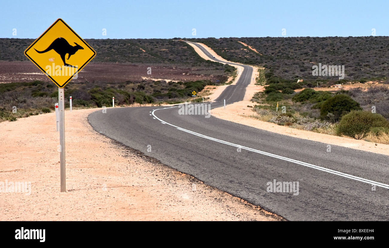 Beware of kangaroos road sign on the road to Monkey Mia from Denham Shark Bay in Western Australia Stock Photo